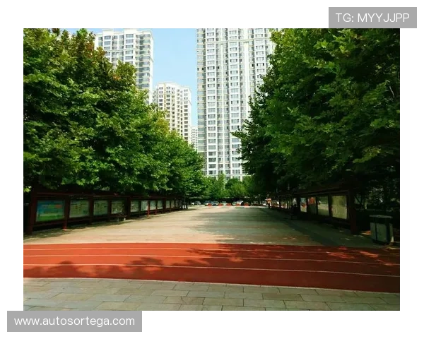 乐天体育app苹果界面操作指南，新手用户快速上手的实用技巧