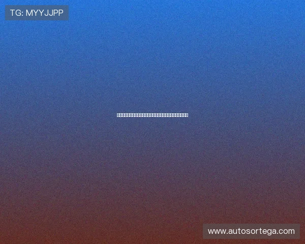 博天堂发布页最新公告，全面解析平台最新版本功能与更新内容